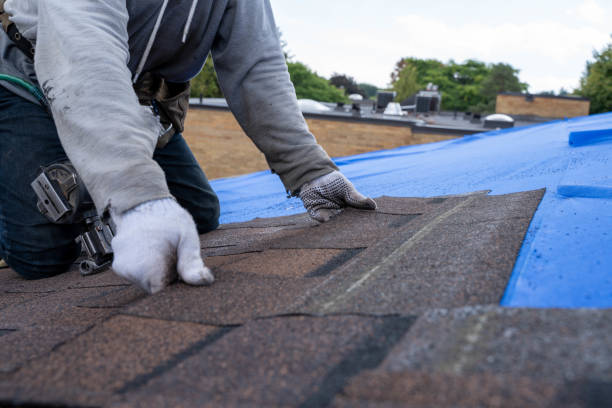 Best Flat Roof Repair Services  in Oglesby, IL