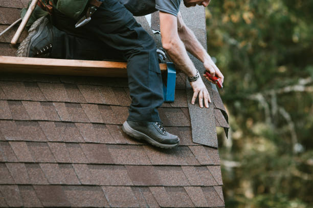 Gutter Installation and Roofing in Oglesby, IL
